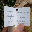 画像6: 1点もの☆ Tansy Turpin by Mary 21 cm（フォーゲットミーノット）