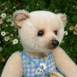 画像4: 1点もの ☆ Daisy Ann by Sharon Barron 35 cm（米）