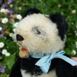 画像3: 15cm Steiff Panda 推定1951年〜1961年頃　（ビンテージ）