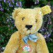 画像4: ID全てあり☆ Steiff Blond Original Teddy 15cm 推定1959年-1966年頃 (ビンテージ)
