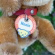 画像7: ID全てあり☆ 14cm Steiff Hexie Dachshund 1954-1967年頃　（ビンテージ）