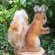 画像2: 大変貴重なお品です！ シュタイフ社アーカイブより 14cm Steiff Possy Squirrel 1967年　（ビンテージ）