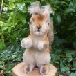 画像4: 大変貴重なお品です！ シュタイフ社アーカイブより 14cm Steiff Possy Squirrel 1967年　（ビンテージ）