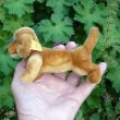 画像3: ID全てあり☆ 14cm Steiff Hexie Dachshund 1954-1967年頃　（ビンテージ）