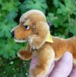 画像5: ID全てあり☆ 14cm Steiff Hexie Dachshund 1954-1967年頃　（ビンテージ）