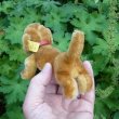 画像4: ID全てあり☆ 14cm Steiff Hexie Dachshund 1954-1967年頃　（ビンテージ）