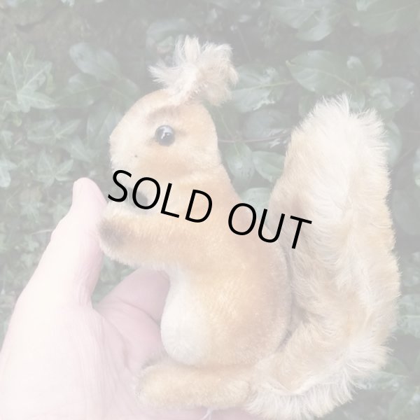 画像5: 大変貴重なお品です！ シュタイフ社アーカイブより 14cm Steiff Possy Squirrel 1967年　（ビンテージ）