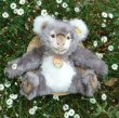 画像1: 大変貴重なお品です！ シュタイフ社アーカイブより 27cm Steiff Cosy Koala 1970年　（ビンテージ）