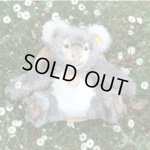 画像: 大変貴重なお品です! シュタイフ社アーカイブより 27cm Steiff Cosy Koala 1970年 (ビンテージ)