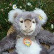 画像2: 大変貴重なお品です！ シュタイフ社アーカイブより 27cm Steiff Cosy Koala 1970年　（ビンテージ）