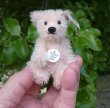 画像2: 新品のような大変良い状態です☆ 2003年 シュタイフクラブ メンバーシップベア 7cm