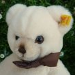 画像4: Steiff Petsy Teddy Bear cream 1989年〜1990年頃  28cm