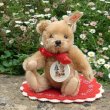 画像1: 大変良い状態です☆ 1998年 シュタイフ ゴーベル「ワンダー・オブ・クリスマス」ベア 18cm