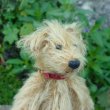 画像5: 1点もの☆　Monty by Lynne Farmer 12.5 cm by Lynne Farmer（英）