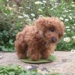 画像4: 1点もの☆ 犬のホンキー 17cm by Silvia Gilles （独）