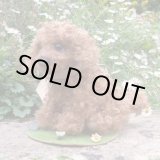 画像: 1点もの☆ 犬のホンキー 17cm by Silvia Gilles （独）