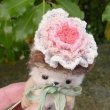 画像7: 1点もの☆ 加茂美智子さん作  Flower （ハリネズミ）10cm
