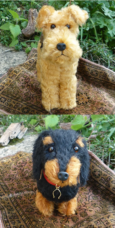 画像: ウェルシュテリアとダックスフンド