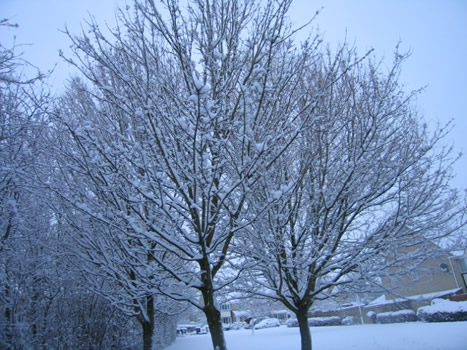 画像: 大雪