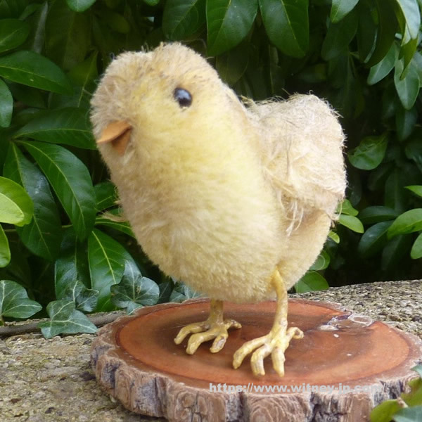 画像: Chick by Cindy Marzolf  9.5cm（米）