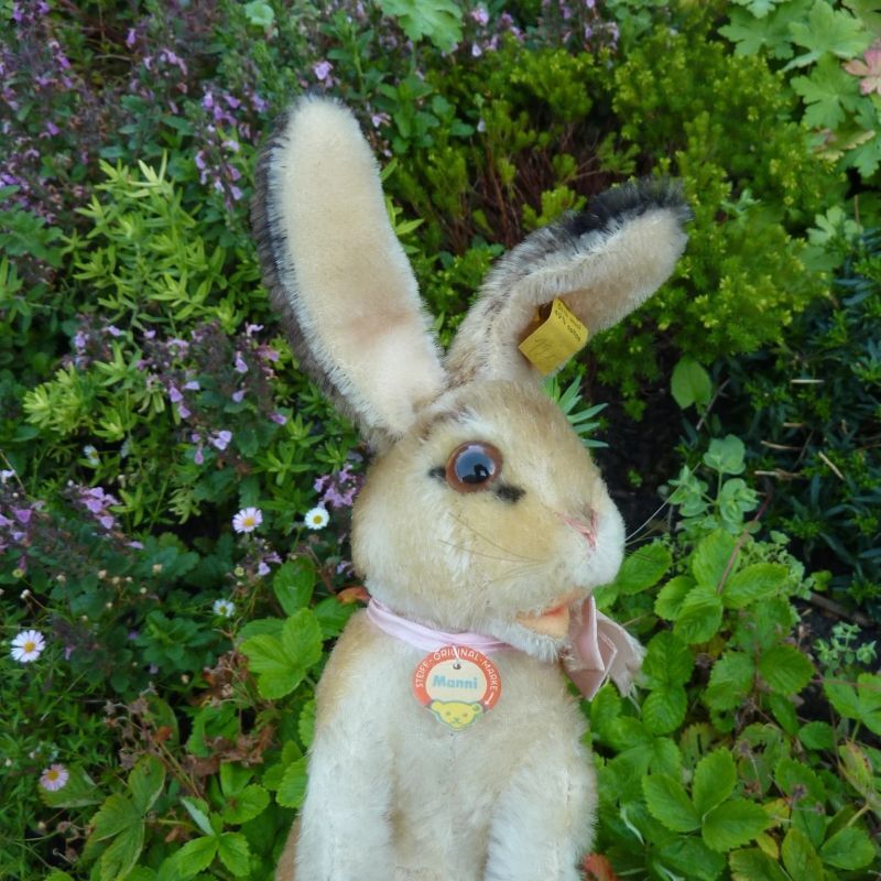 画像: ID全てあり☆ エクセレントコンディション　Steiff Manni rabbit 16cm 1961年〜1967年 （ビンテージ）