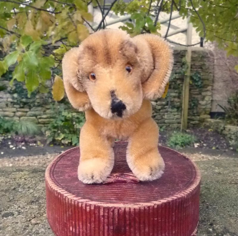 画像: Steiff Bazi Dachshund Puppy 10cm 推定1968年-1975年　（ビンテージ）
