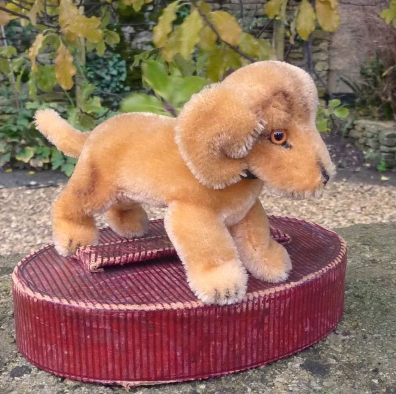 画像: Steiff Bazi Dachshund Puppy 10cm 推定1968年-1975年　（ビンテージ）