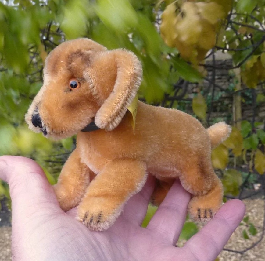 画像1: Steiff Bazi Dachshund Puppy 10cm 推定1968年-1975年　（ビンテージ）