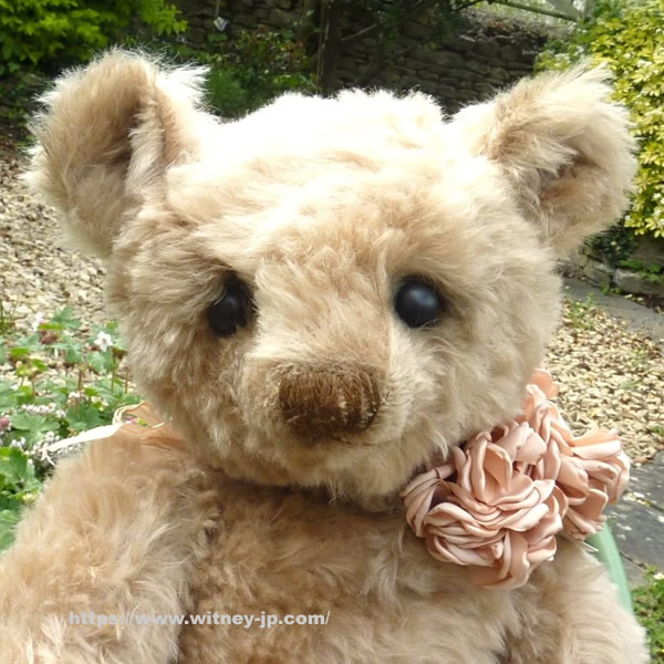 Susanne Tauber Mit Liebe Die Aus Dem Koffer Teddy Bear