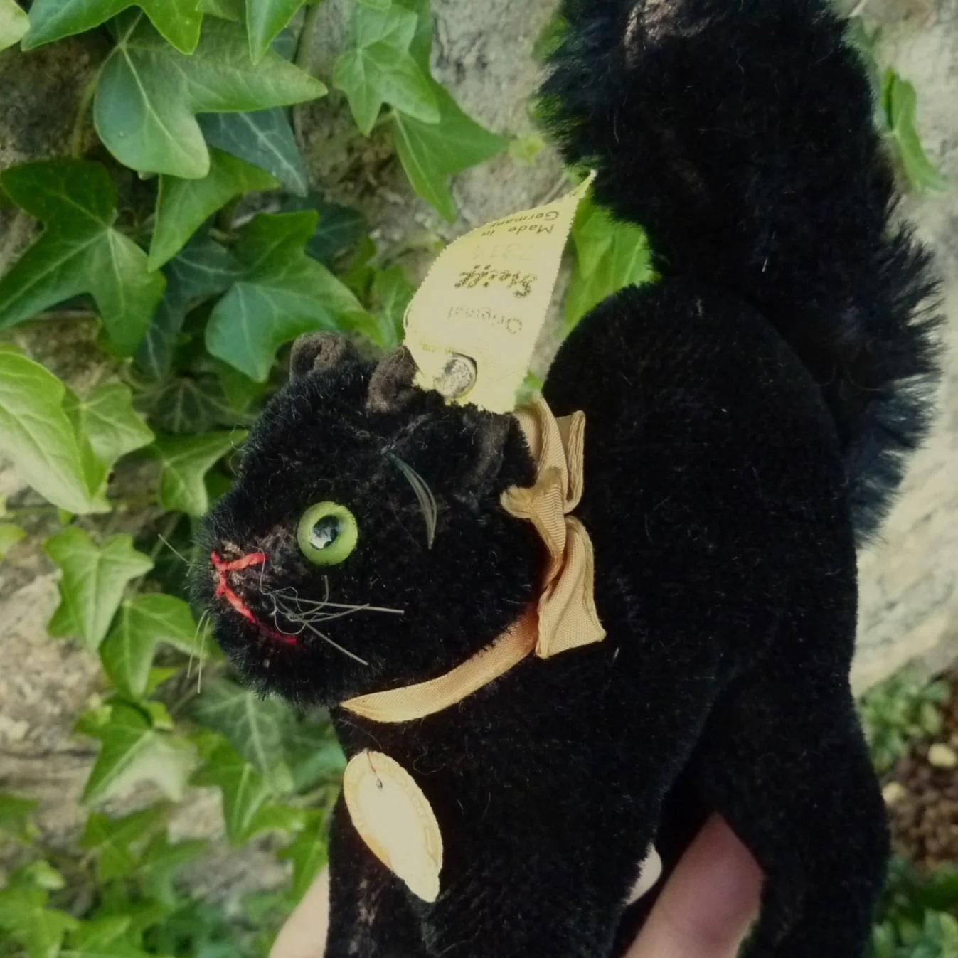 画像: ID全てあり☆　Steiff Black Tom Cat 14cm 推定1950年-1958年（ビンテージ）