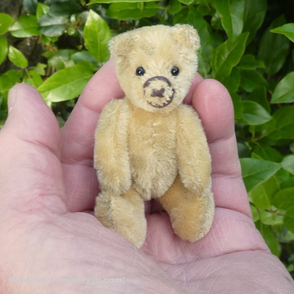 画像: 【ウィットニー限定】セオドア　8.5cm