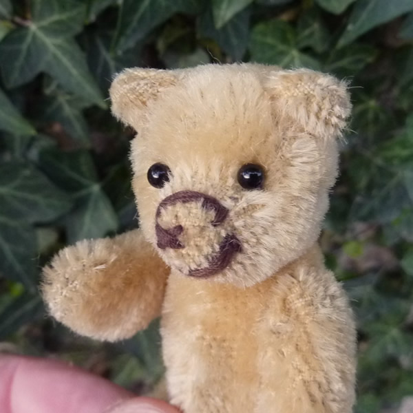セオドア テディベアオブウィットニー