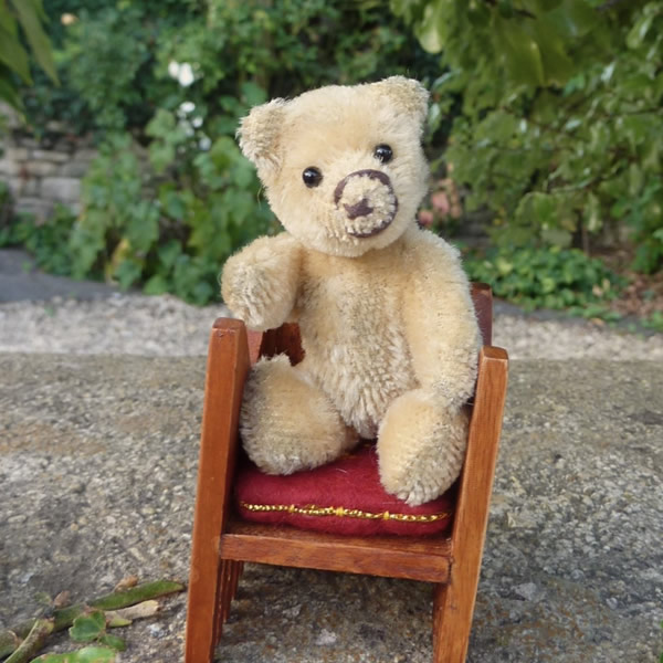 画像: 【ウィットニー限定】セオドア　8.5cm  836番