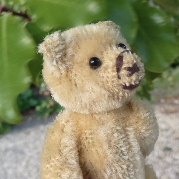 画像4: 【ウィットニー限定】セオドア　8.5cm  836番