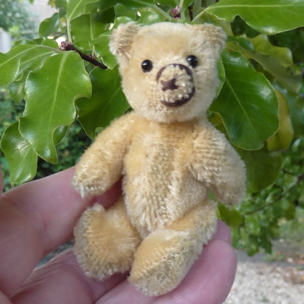 画像3: 【ウィットニー限定】セオドア　8.5cm  836番