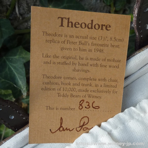 画像5: 【ウィットニー限定】セオドア　8.5cm  836番