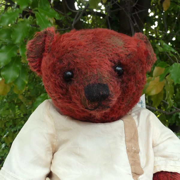 フォーゲットミーノット 作家 テディベア・オブ・ウィットニー