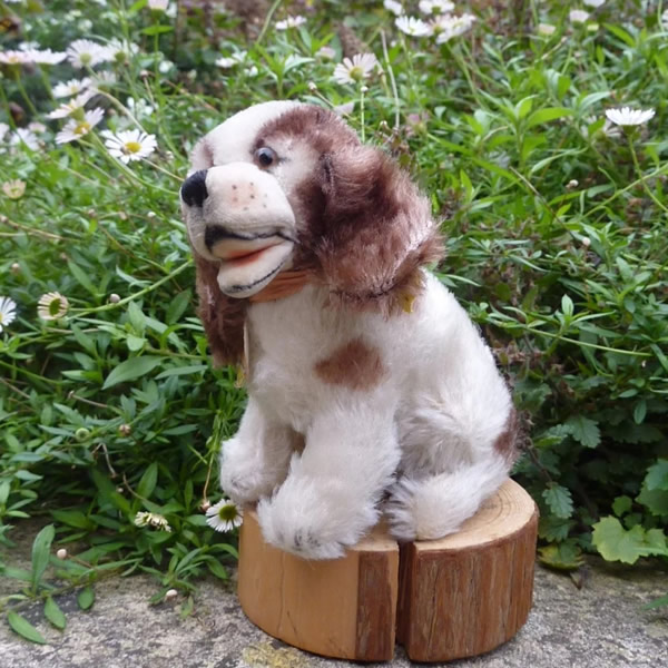 Steiff Cockie Spaniel, circa 1951-1958 3310 teddy bears of witney