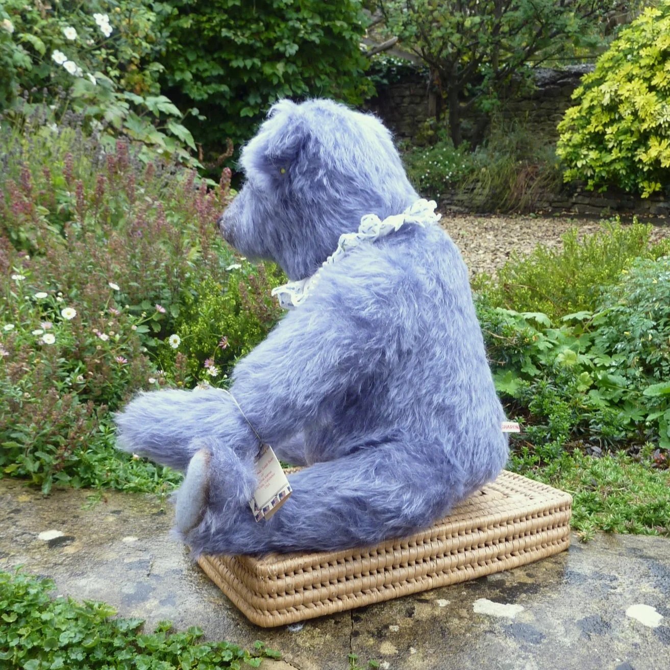 Sharon Barron、アメリカ、テディベア・オブ・ウィットニー