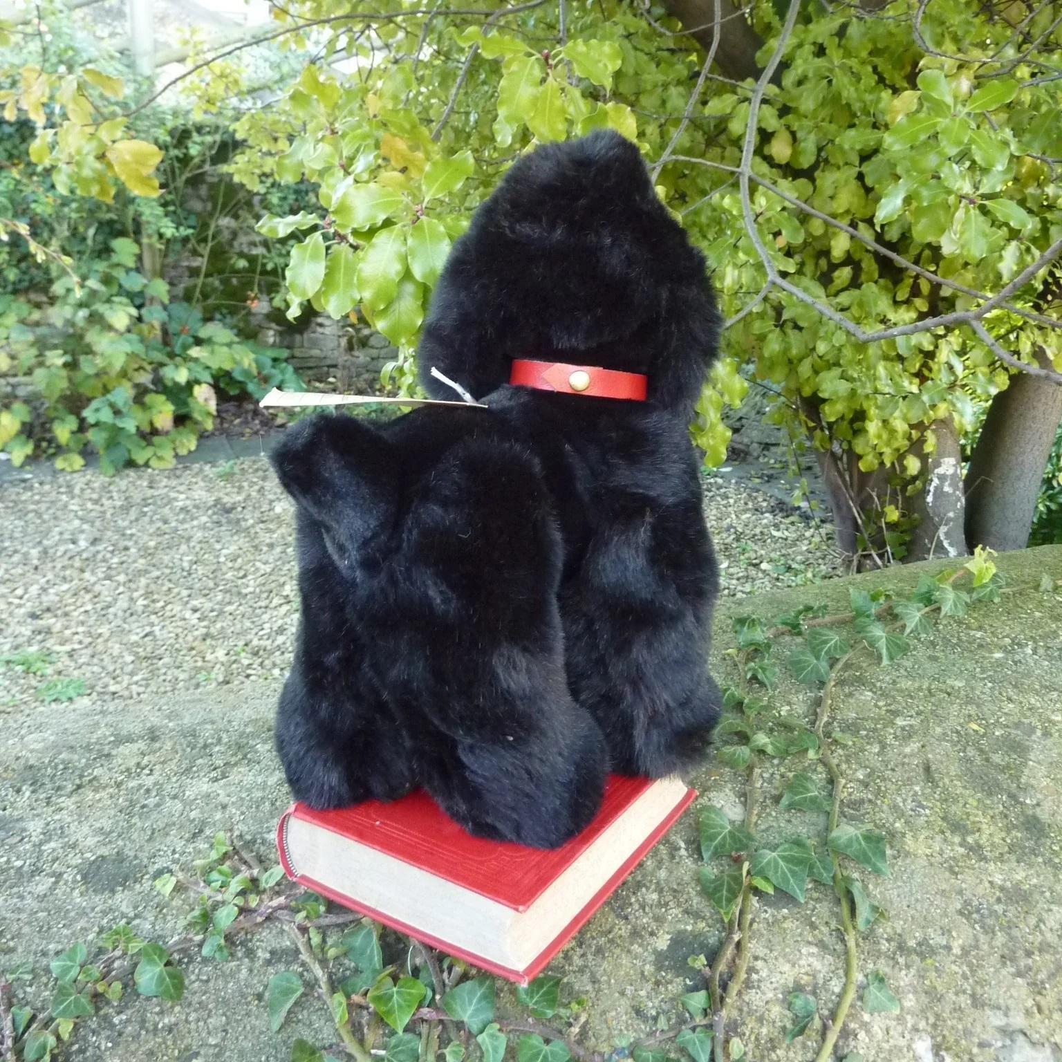 画像: 大変貴重なお品です！ シュタイフ社アーカイブより 28cm  Cosy Tobby プードル　1985年・ハンドメイド試作モデル　（ビンテージ）