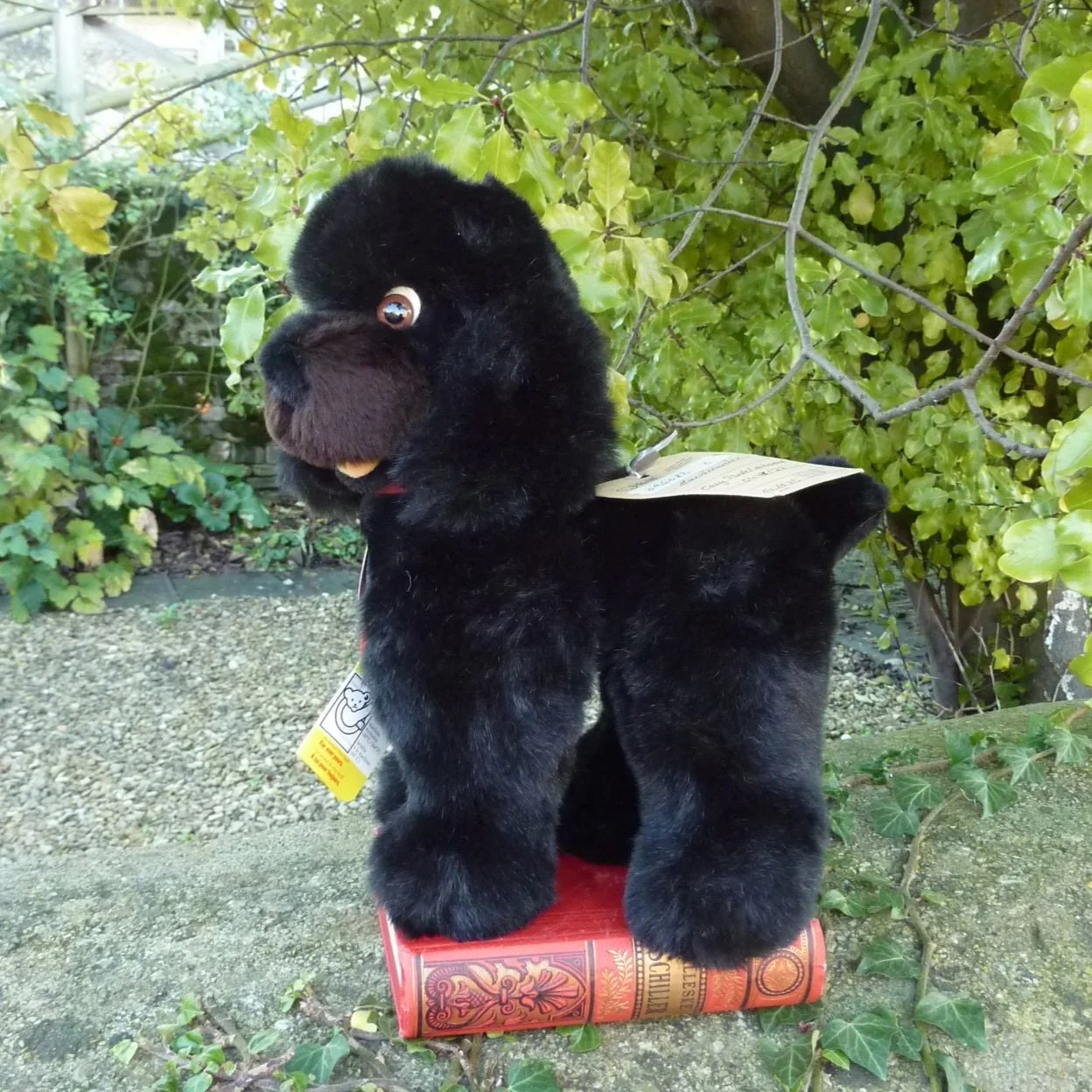 画像: 大変貴重なお品です！ シュタイフ社アーカイブより 28cm  Cosy Tobby プードル　1985年・ハンドメイド試作モデル　（ビンテージ）