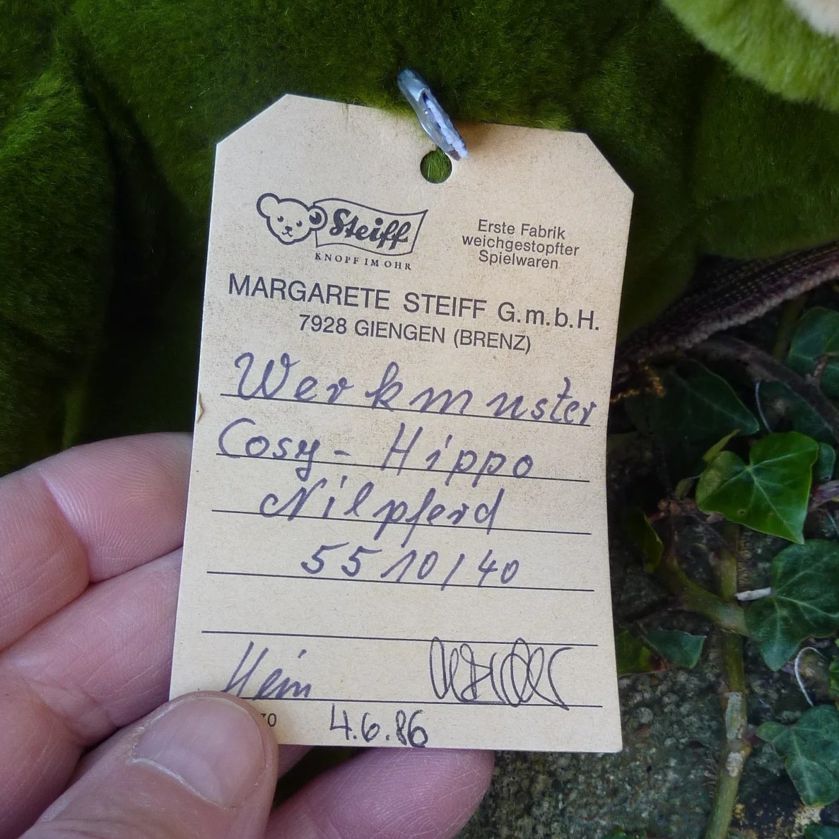 画像: 大変貴重なお品です！ シュタイフ社アーカイブより 40cm  コージー・カバ　1986年 社内用見本モデル　（ビンテージ）