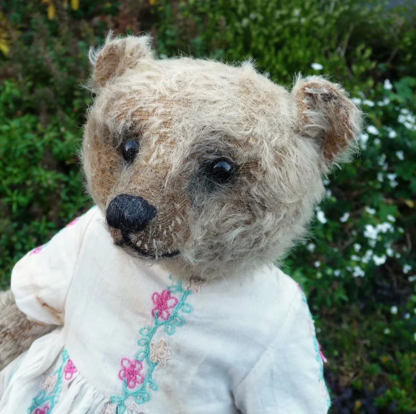 フォーゲットミーノット 作家 テディベア・オブ・ウィットニー