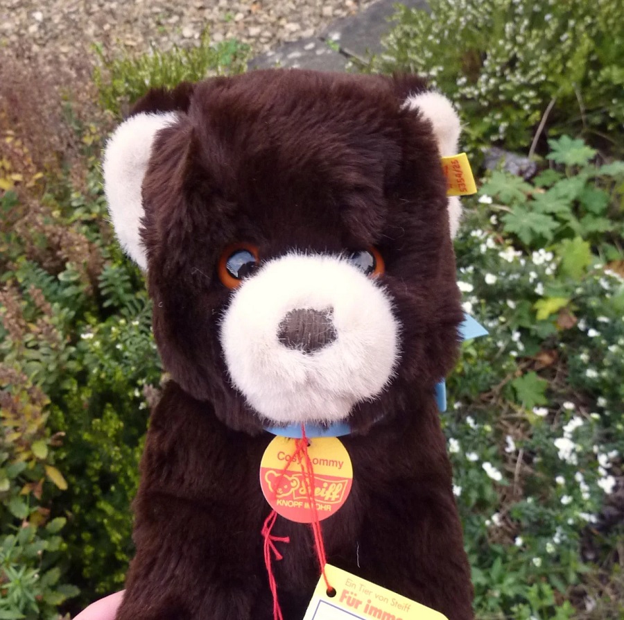 画像: ID全てあり☆大変貴重なお品です！ シュタイフ社アーカイブより Cosy Lommy Bear 25cm  1982年（ビンテージ）