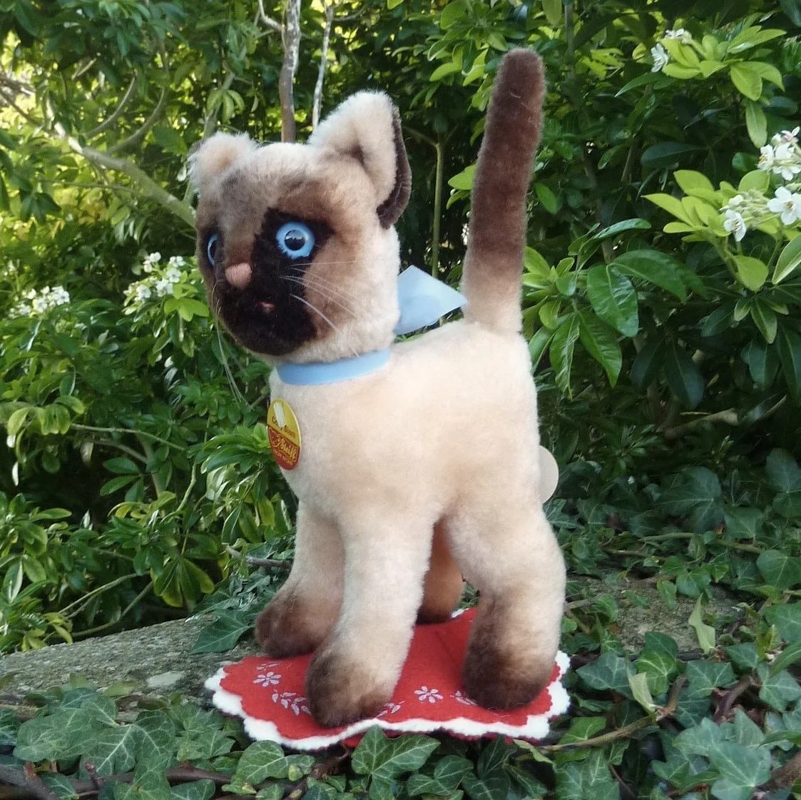 画像1: 大変貴重なお品です！ シュタイフ社アーカイブより Cosy Siam Cat 22cm 1970年（ビンテージ）