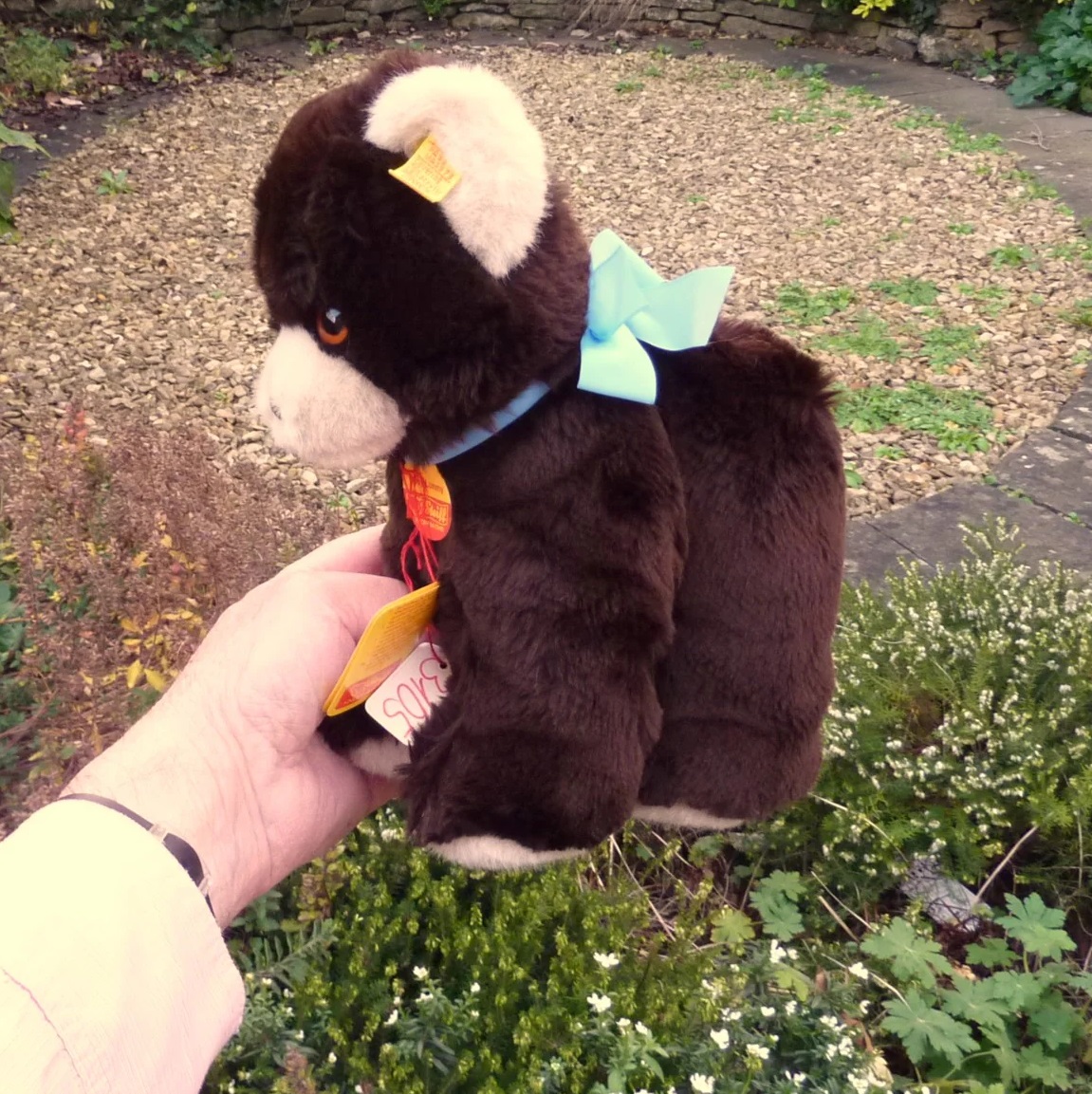 画像: ID全てあり☆大変貴重なお品です！ シュタイフ社アーカイブより Cosy Lommy Bear 25cm  1982年（ビンテージ）