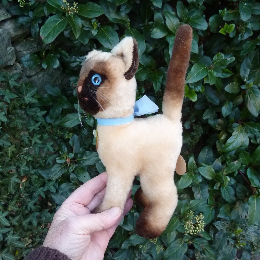 画像: 大変貴重なお品です！ シュタイフ社アーカイブより Cosy Siam Cat 22cm 1970年（ビンテージ）