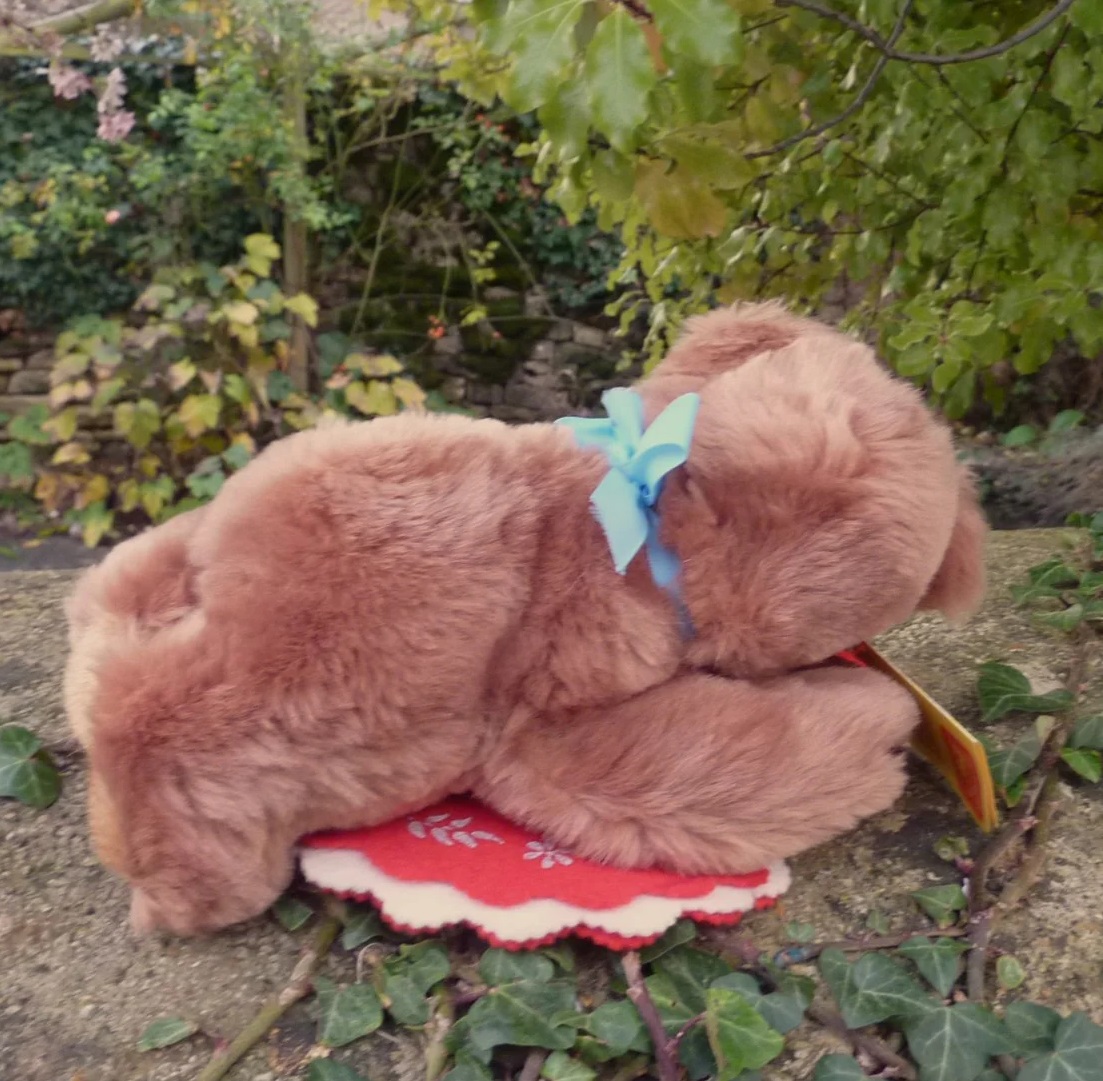 画像2: ID全てあり☆大変貴重なお品です！ シュタイフ社アーカイブより Floppy Bear 18cm 1983年（ビンテージ）