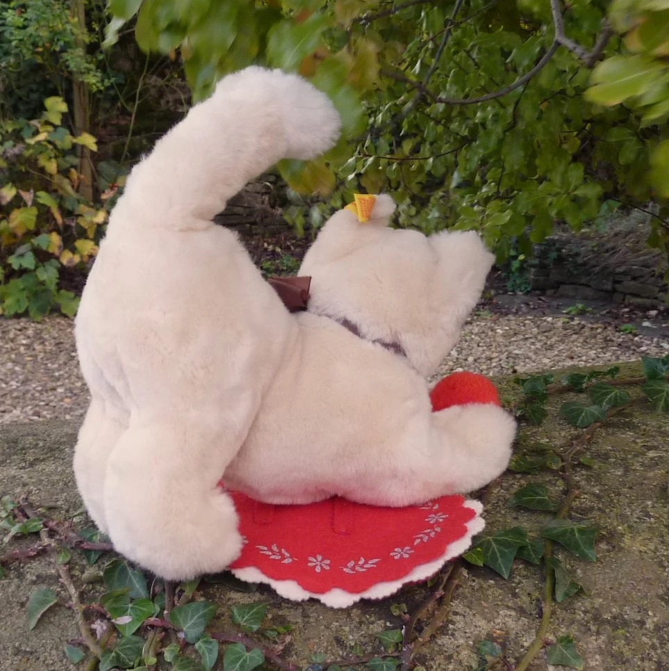 画像2: ID全てあり☆大変貴重なお品です！ シュタイフ社アーカイブより Cosy Sulla Cat 22cm 1985年（ビンテージ）