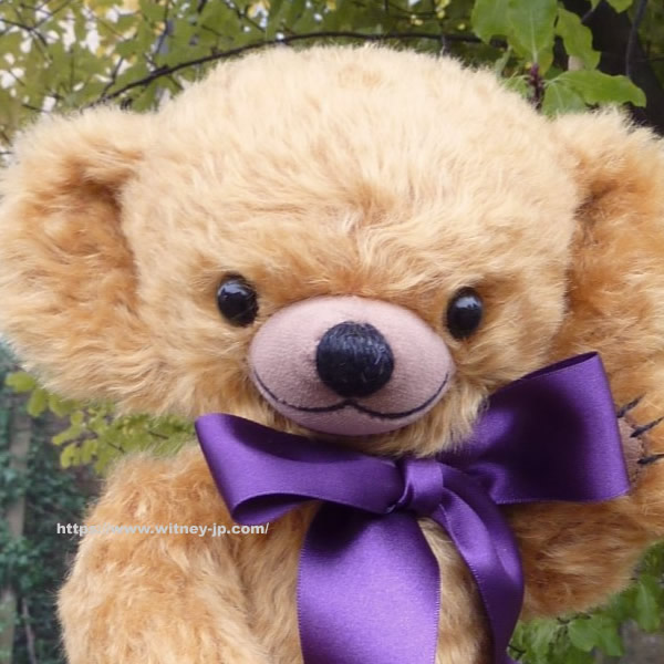 画像: 初登場☆ メリーソート チーキーイヤーベア2026　25.5cm  7番